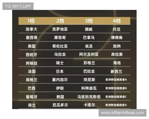 2026年世界杯捷克对阵南非比赛详细战术分析与关键球员介绍 2026年世界杯捷克对阵南非比赛详细战术分析与关键球员介绍